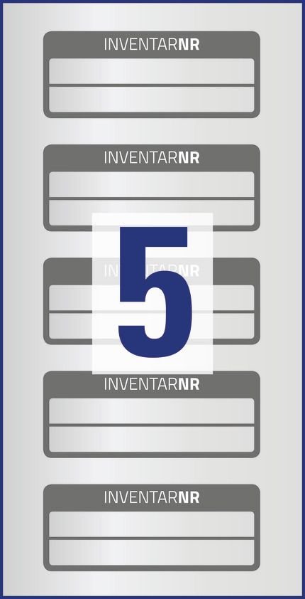 Etykiety Inwentaryzacyjne 2 Liniowe Avery 50x20 10/A4 A'5 Srebrno-Szare No.6909