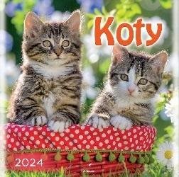  Kalendarz 2024 Koty 33X33cm