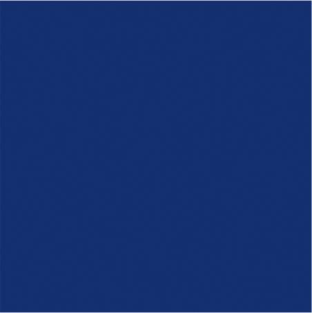 Serwetki 33x33cm A'20 (SDL111205) Navy Blue /Paw