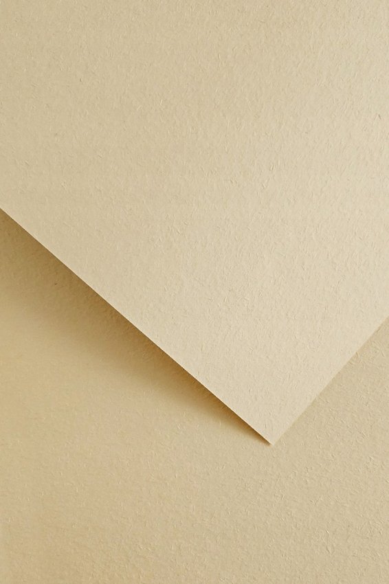 Karton Ozdobny A4 220g Wood Kremowy A'20 /Argo