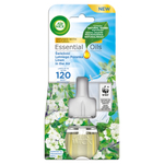 Air Wick Elektryczny Odśw.Pow. 19ml Zapas Świerzość Letniego Poranka