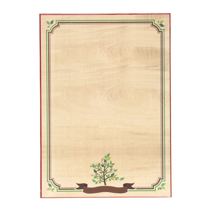 Dyplom Galeria Papieru A4 170g Natura A'25 /Argo 219117
