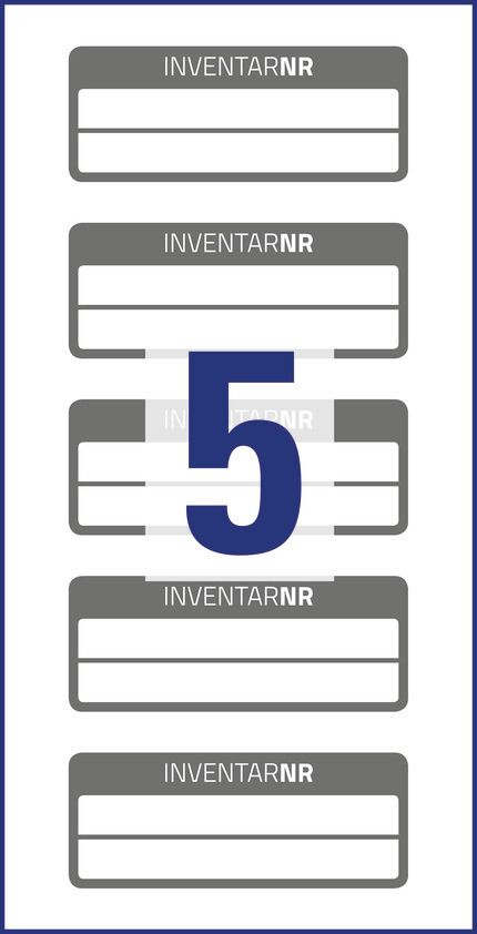 Etykiety Inwentaryzacyjne 2 Liniowe NoPeel Avery 50x20 10/A4 A'5 Srebrno-Szare No.6918
