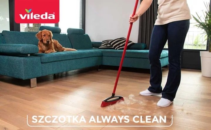 Szczotka do Zamiatania Sierści i Włosów Always Clean Pet Pro /Vileda