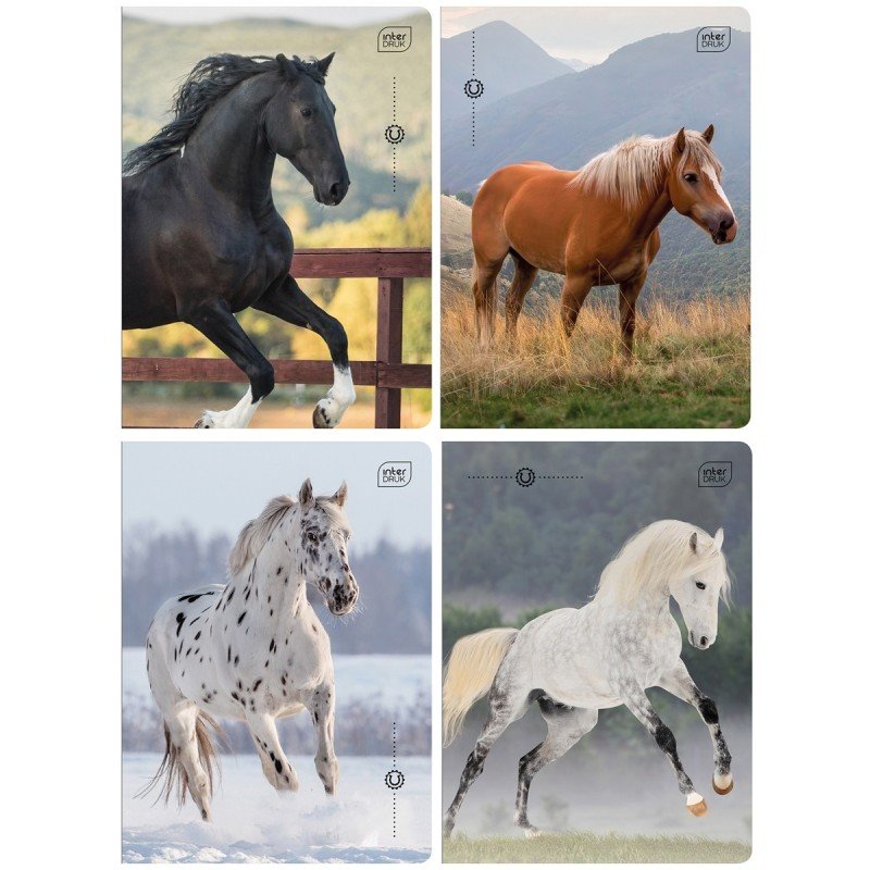 Zeszyt A5 32 kol3= 70g UV Wild Horses