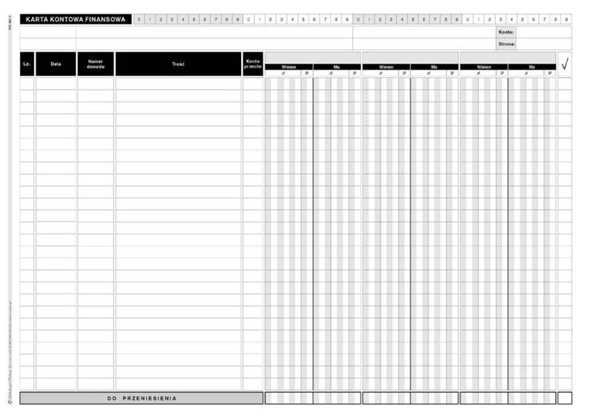 Karta Kontowa Finansowa A4 3-kolumny Offset 20szt. 431-1 /MiP